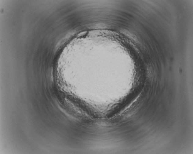 X0000071830302200607290049