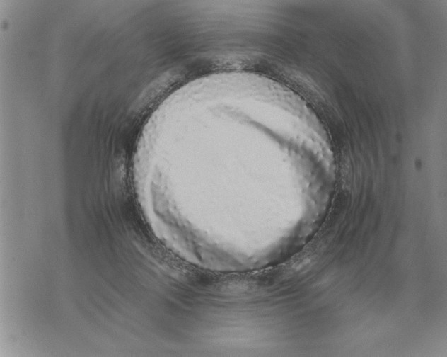 X0000071830314200607290049
