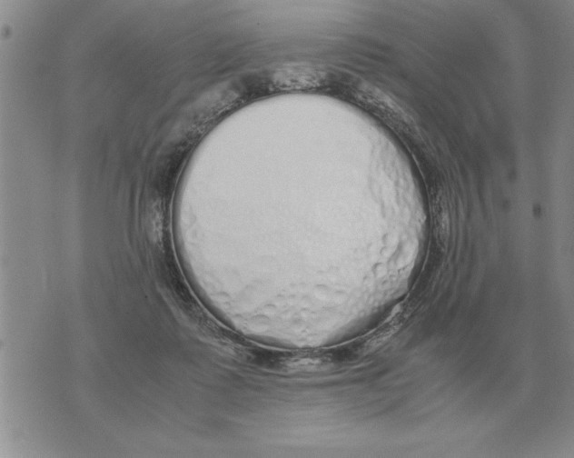 X0000071830315200607290049