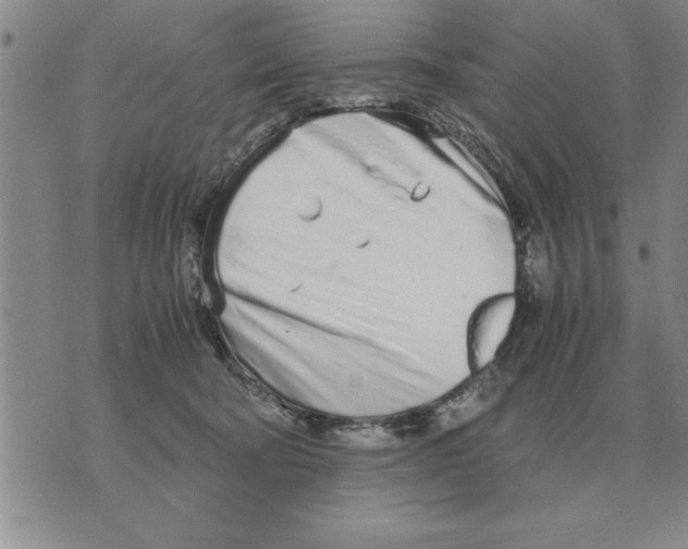 X0000071830322200607290048