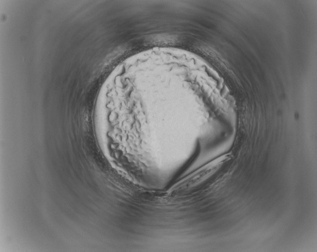 X0000071830355200607290048