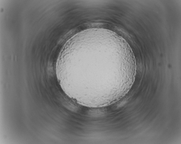 X0000071830381200607290048