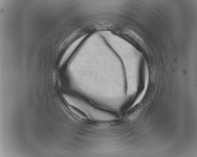 X0000071830405200607290047