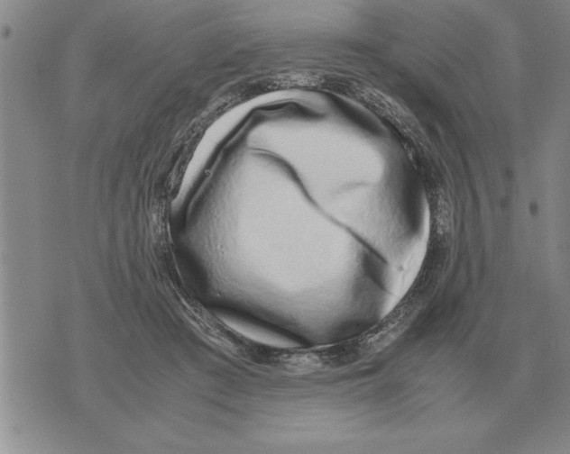 X0000071830409200607290047