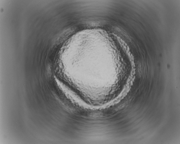 X0000071830410200607290047