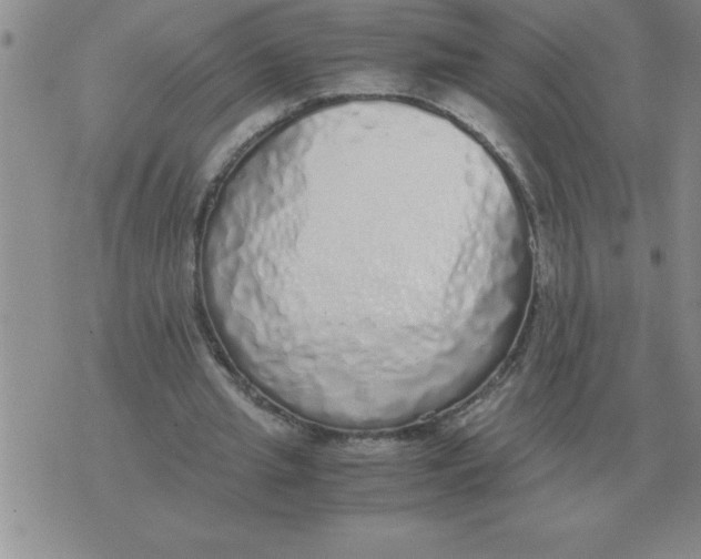 X0000071830437200607290046