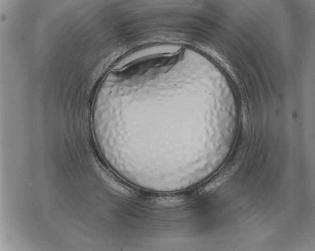 X0000071830445200607290046