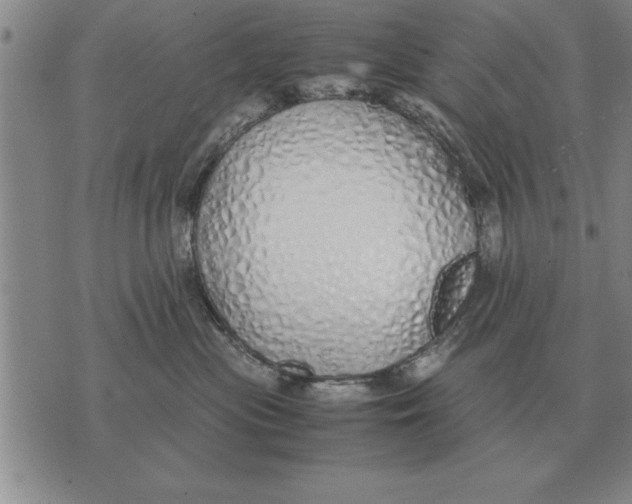 X0000071830477200607290047