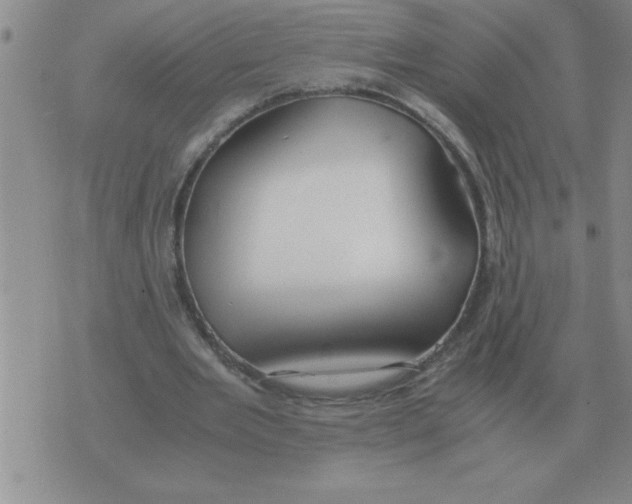 X0000071830485200607290046