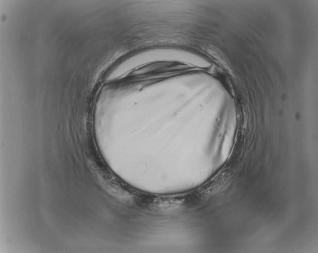 X0000071830491200607290046