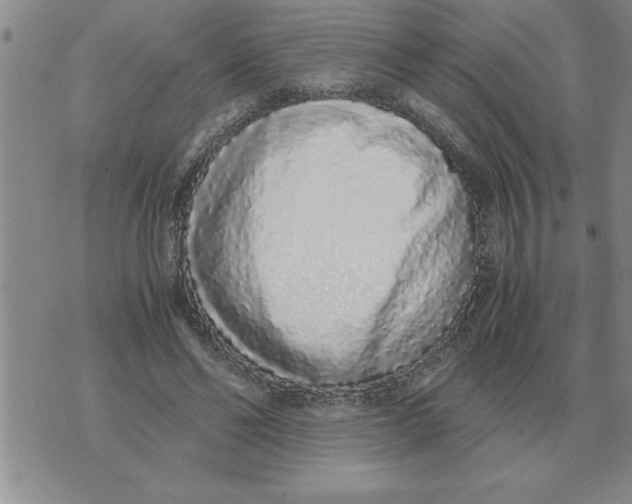 X0000071830494200607290046