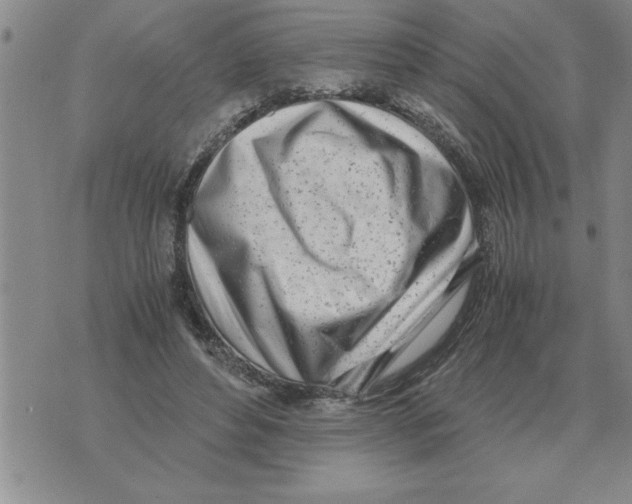 X0000071830496200607290046