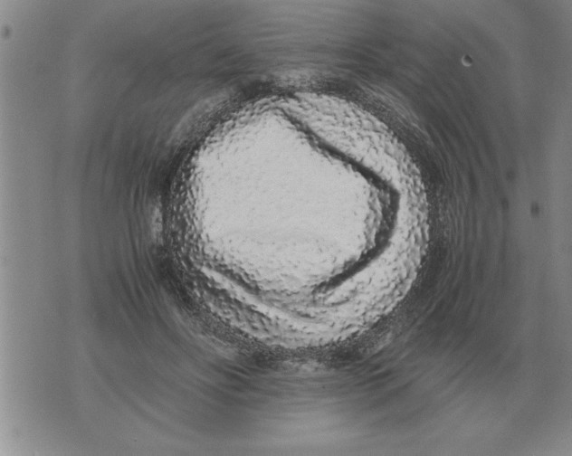 X0000071830502200607290046