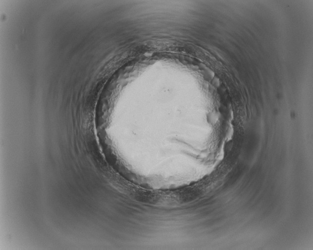 X0000071830507200607290045