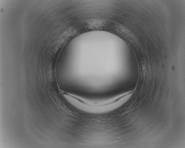 X0000071830508200607290045