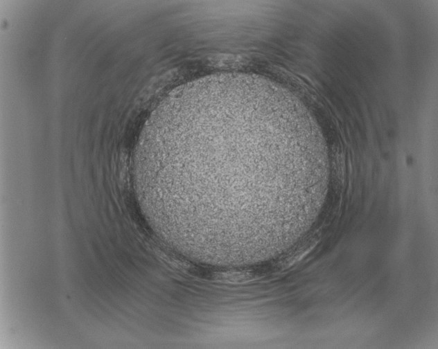 X0000071830511200607290045
