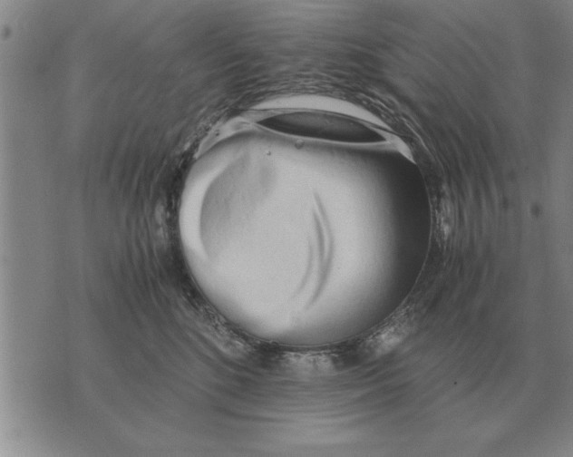 X0000071830520200607290045