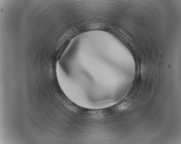 X0000071830524200607290045