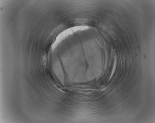 X0000071830526200607290045