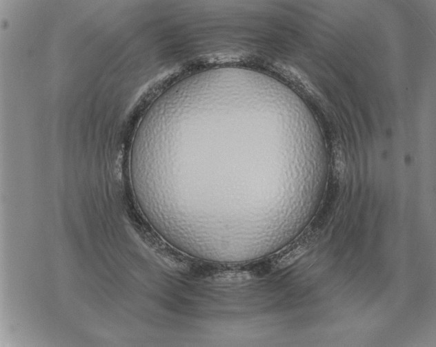 X0000071830543200607290045