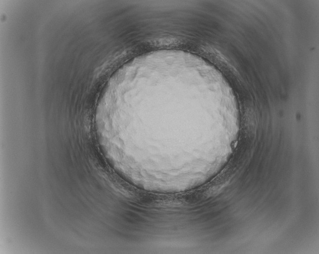 X0000071830545200607290045