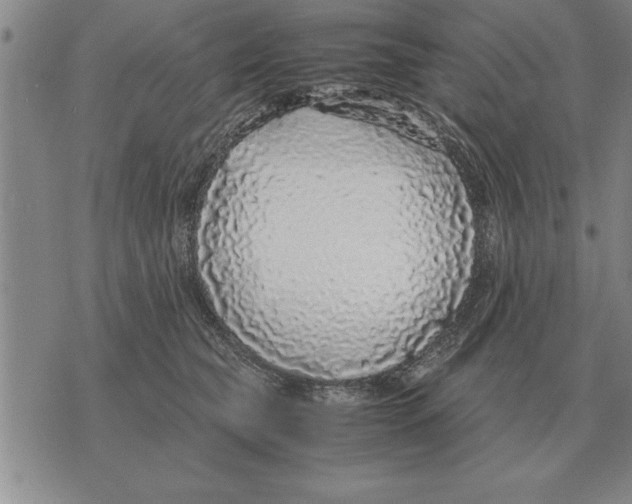 X0000071830565200607290045