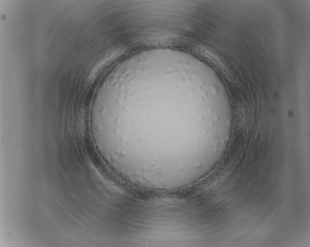 X0000071830586200607290044