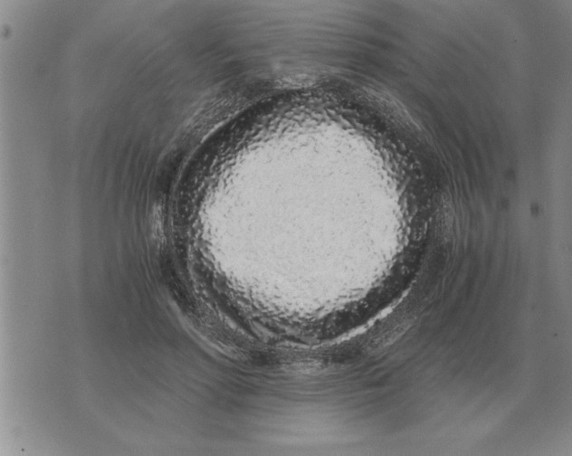 X0000071830598200607290044
