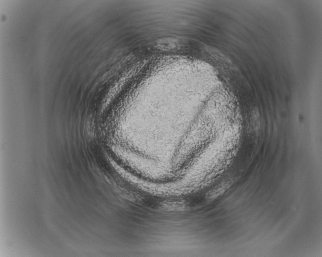 X0000071830606200607290044