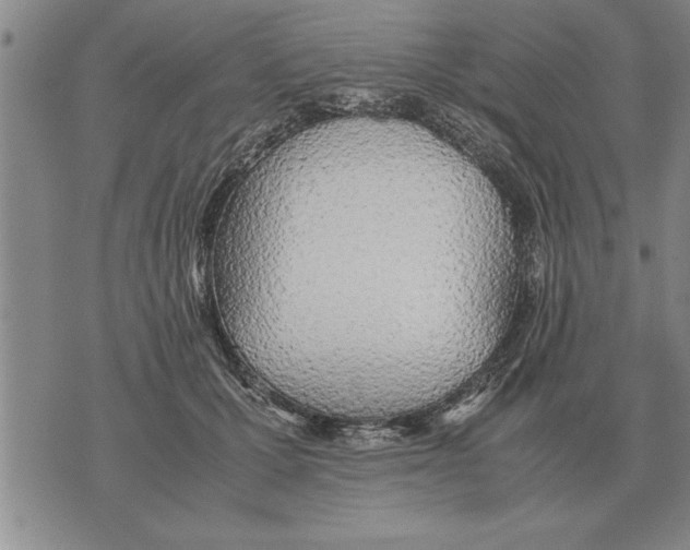 X0000071830607200607290044