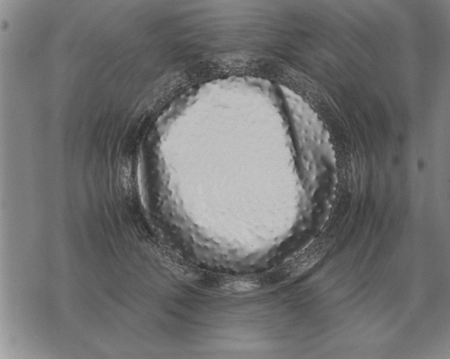 X0000071830610200607290044