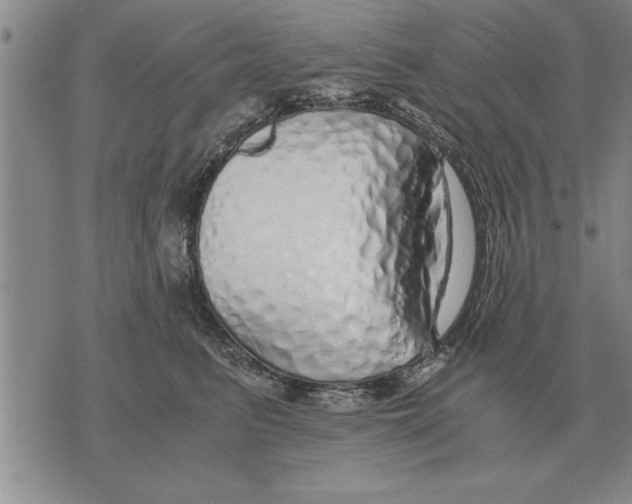 X0000071830615200607290044