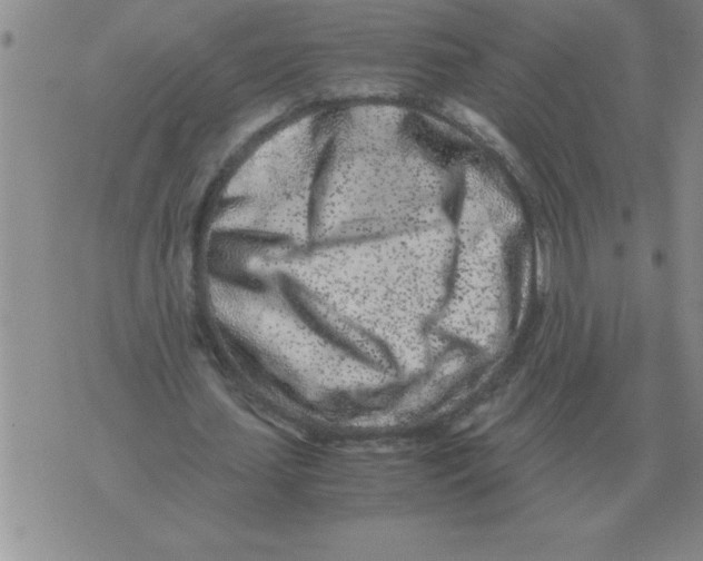 X0000071830627200607290043