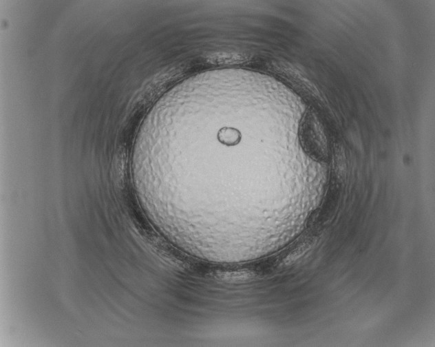 X0000071830645200607290043