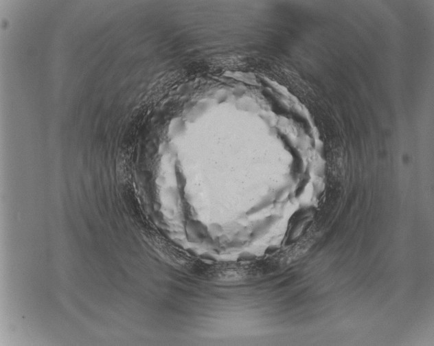 X0000071830658200607290043