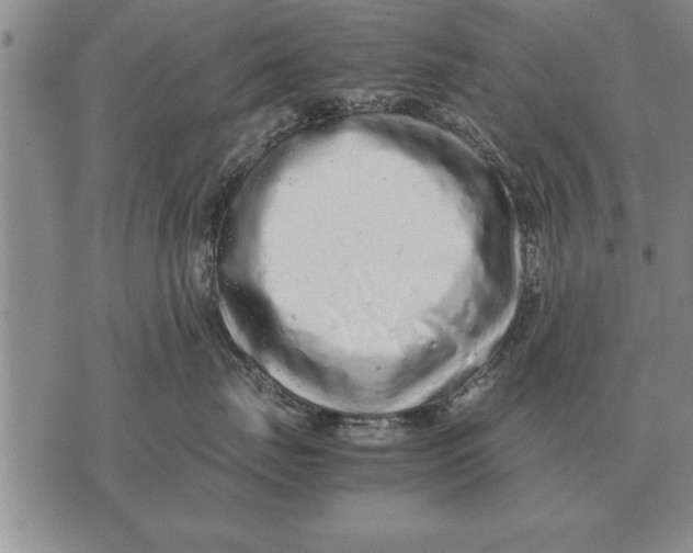 X0000071830671200607290044