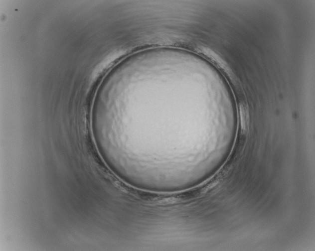 X0000071830675200607290043
