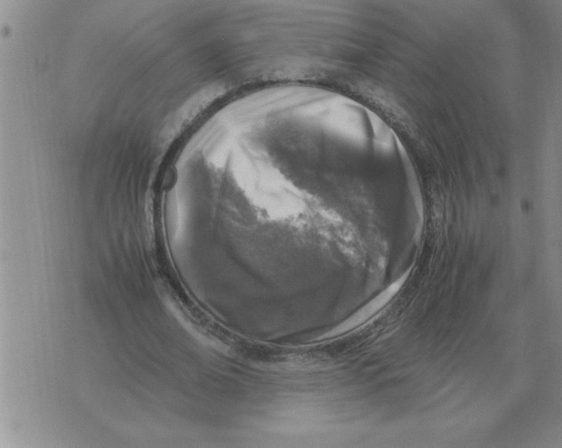 X0000071830678200607290043