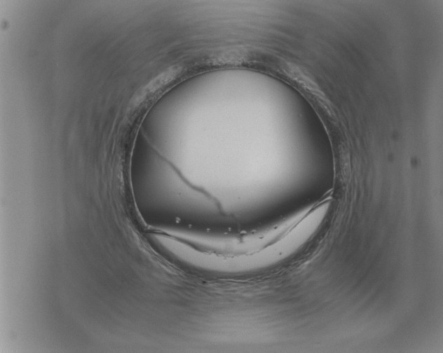 X0000071830681200607290043