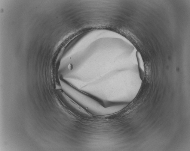 X0000071830684200607290043