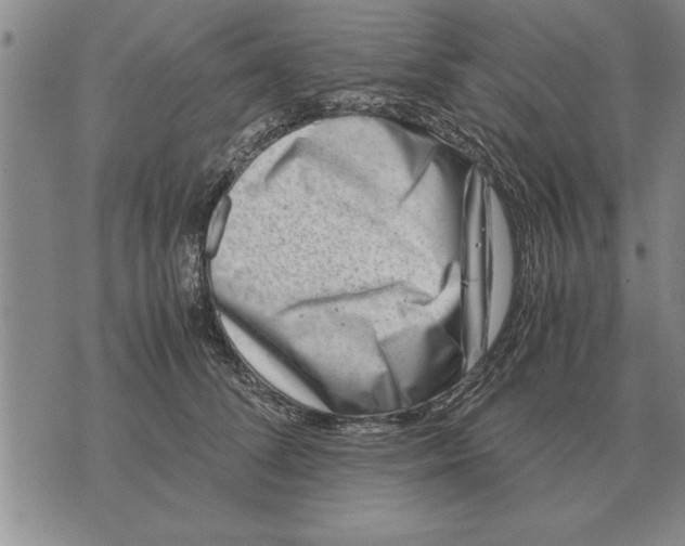 X0000071830708200607290042