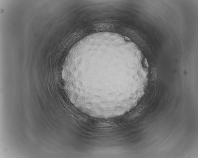X0000071830753200607290042