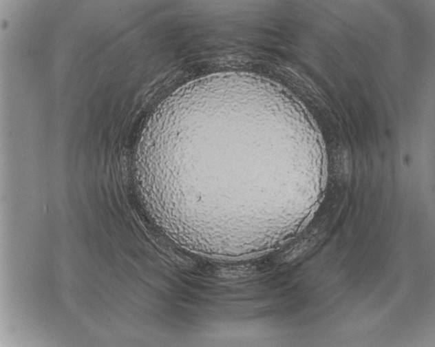X0000071830757200607290042