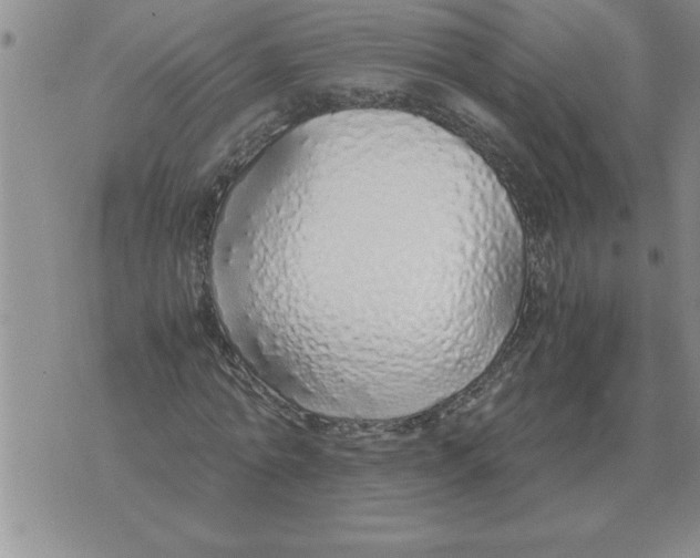 X0000071830774200607290041