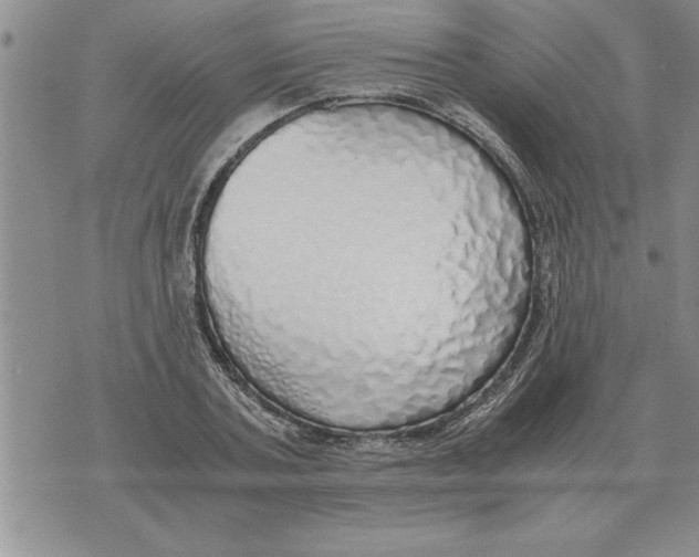 X0000071830787200607290041