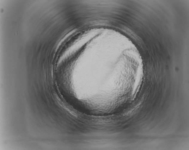 X0000071830790200607290041