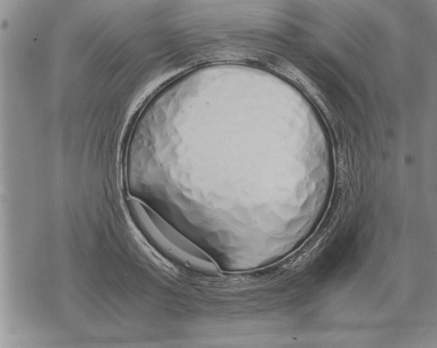 X0000071830795200607290041