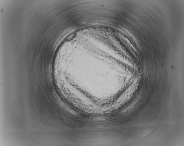 X0000071830798200607290041