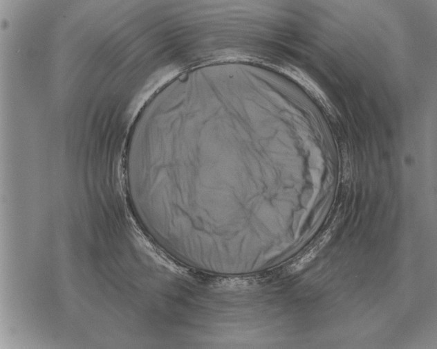 X0000071830806200607290041