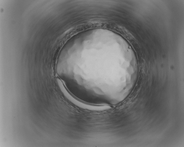 X0000071830821200607290040